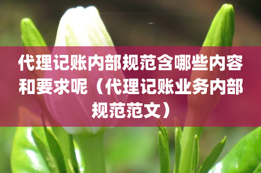 代理记账内部规范含哪些内容和要求呢（代理记账业务内部规范范文）