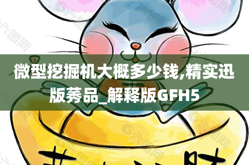 微型挖掘机大概多少钱,精实迅版莠品_解释版GFH5