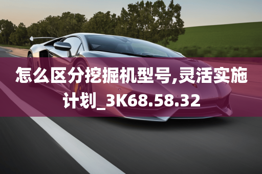 怎么区分挖掘机型号,灵活实施计划_3K68.58.32