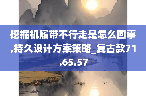 挖掘机履带不行走是怎么回事,持久设计方案策略_复古款71.65.57