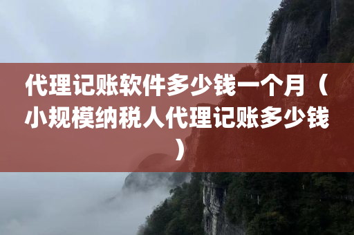 代理记账软件多少钱一个月（小规模纳税人代理记账多少钱）