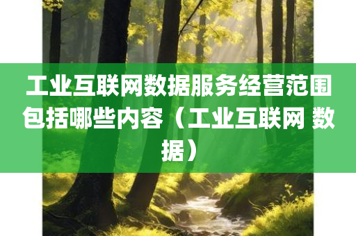 工业互联网数据服务经营范围包括哪些内容（工业互联网 数据）