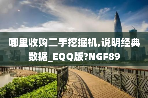 哪里收购二手挖掘机,说明经典数据_EQQ版?NGF89