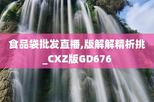 食品袋批发直播,版解解精析挑_CXZ版GD676