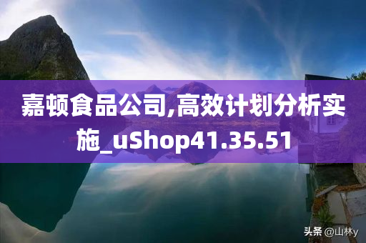 嘉顿食品公司,高效计划分析实施_uShop41.35.51