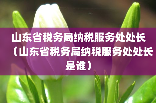 山东省税务局纳税服务处处长（山东省税务局纳税服务处处长是谁）