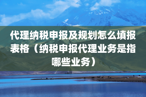 代理纳税申报及规划怎么填报表格（纳税申报代理业务是指哪些业务）