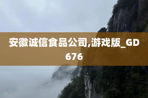 安徽诚信食品公司,游戏版_GD676