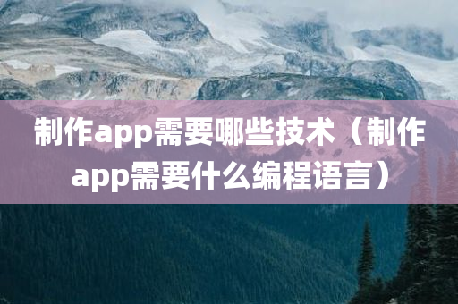 制作app需要哪些技术（制作app需要什么编程语言）