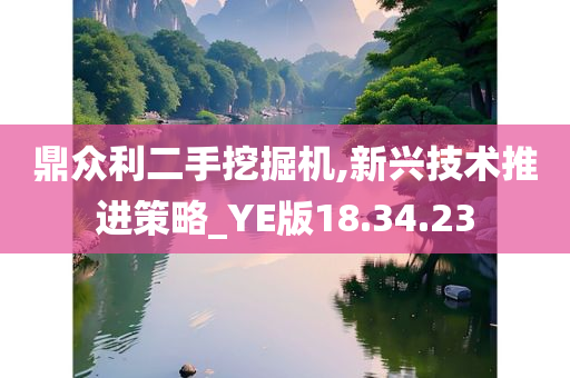 鼎众利二手挖掘机,新兴技术推进策略_YE版18.34.23