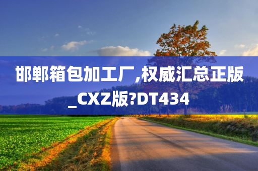 邯郸箱包加工厂,权威汇总正版_CXZ版?DT434