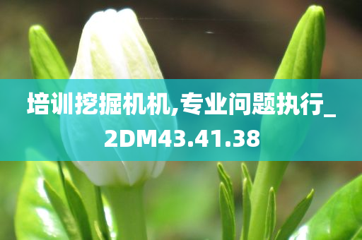 培训挖掘机机,专业问题执行_2DM43.41.38