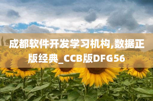 成都软件开发学习机构,数据正版经典_CCB版DFG56