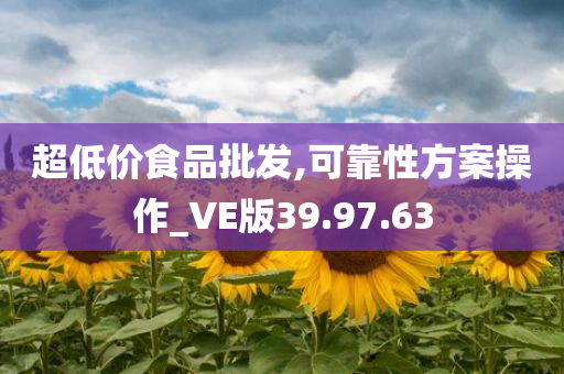 超低价食品批发,可靠性方案操作_VE版39.97.63