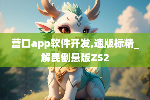 营口app软件开发,速版标精_解民倒悬版ZS2