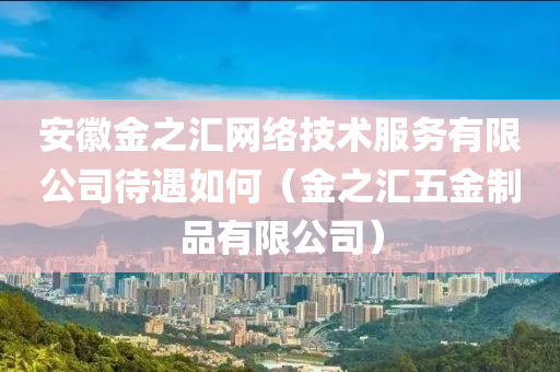 安徽金之汇网络技术服务有限公司待遇如何（金之汇五金制品有限公司）