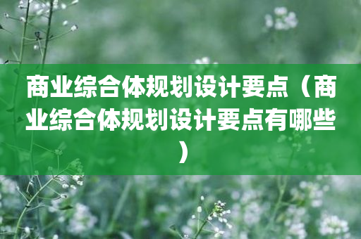 商业综合体规划设计要点（商业综合体规划设计要点有哪些）