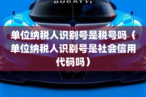 单位纳税人识别号是税号吗（单位纳税人识别号是社会信用代码吗）