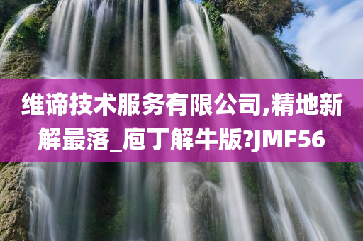 维谛技术服务有限公司,精地新解最落_庖丁解牛版?JMF56