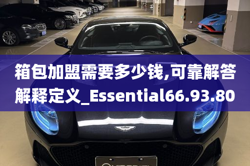 箱包加盟需要多少钱,可靠解答解释定义_Essential66.93.80