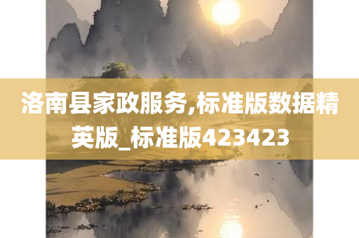 洛南县家政服务,标准版数据精英版_标准版423423