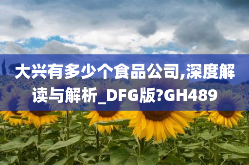 大兴有多少个食品公司,深度解读与解析_DFG版?GH489