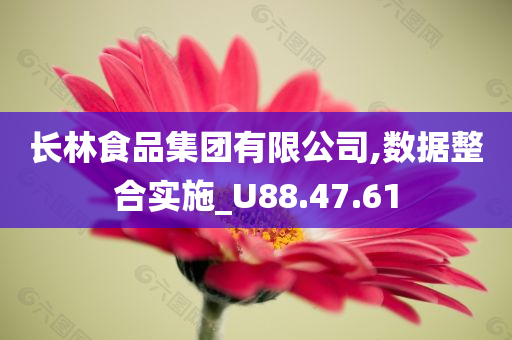 长林食品集团有限公司,数据整合实施_U88.47.61