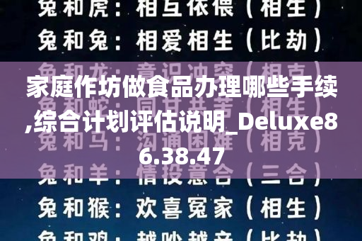 家庭作坊做食品办理哪些手续,综合计划评估说明_Deluxe86.38.47