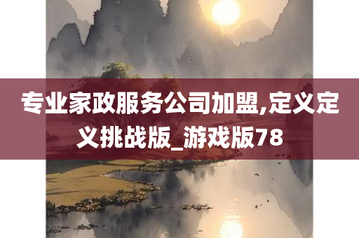 专业家政服务公司加盟,定义定义挑战版_游戏版78