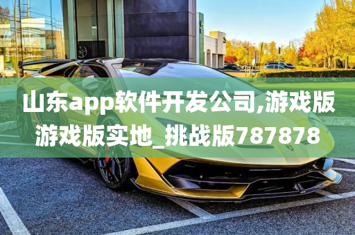 山东app软件开发公司,游戏版游戏版实地_挑战版787878