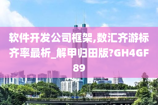 软件开发公司框架,数汇齐游标齐率最析_解甲归田版?GH4GF89