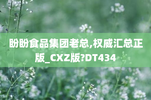 盼盼食品集团老总,权威汇总正版_CXZ版?DT434