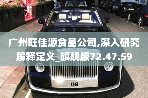 广州旺佳源食品公司,深入研究解释定义_旗舰版72.47.59