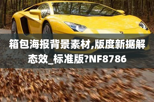 箱包海报背景素材,版度新据解态效_标准版?NF8786