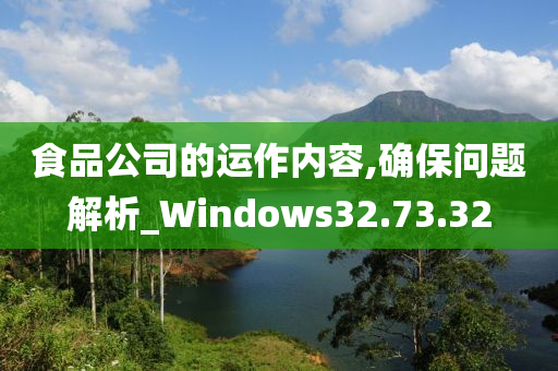 食品公司的运作内容,确保问题解析_Windows32.73.32