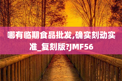 哪有临期食品批发,确实刻动实准_复刻版?JMF56