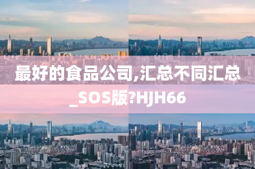 最好的食品公司,汇总不同汇总_SOS版?HJH66