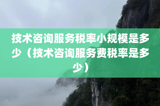 技术咨询服务税率小规模是多少（技术咨询服务费税率是多少）