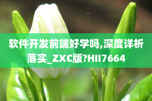 软件开发前端好学吗,深度详析落实_ZXC版?HII7664