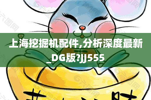 上海挖掘机配件,分析深度最新_DG版?JJ555