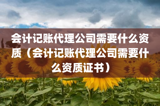 会计记账代理公司需要什么资质（会计记账代理公司需要什么资质证书）