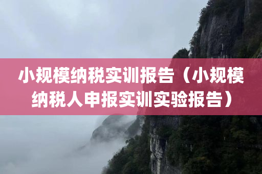 小规模纳税实训报告（小规模纳税人申报实训实验报告）