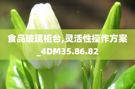 食品玻璃柜台,灵活性操作方案_4DM35.86.82