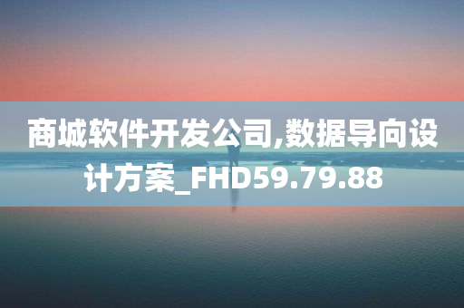 商城软件开发公司,数据导向设计方案_FHD59.79.88