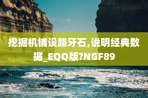 挖掘机铺设路牙石,说明经典数据_EQQ版?NGF89