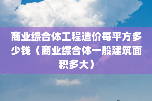 商业综合体工程造价每平方多少钱（商业综合体一般建筑面积多大）