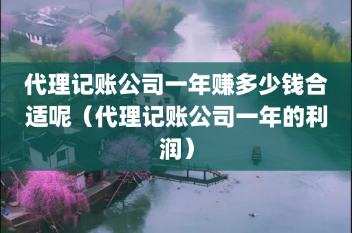 代理记账公司一年赚多少钱合适呢（代理记账公司一年的利润）