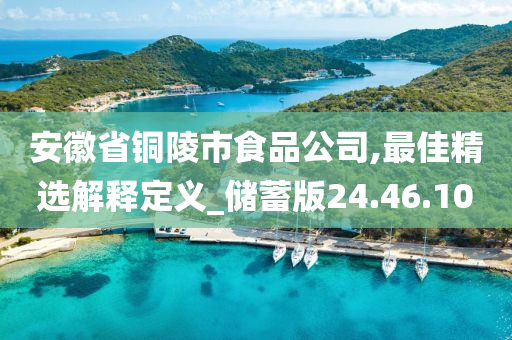 安徽省铜陵市食品公司,最佳精选解释定义_储蓄版24.46.10