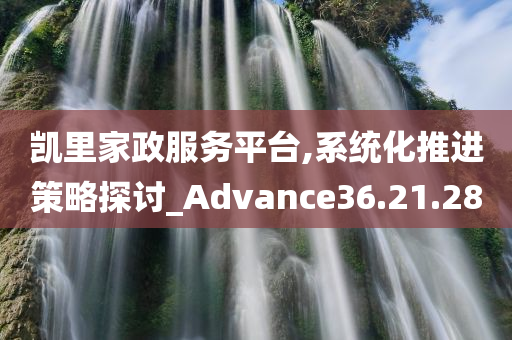 凯里家政服务平台,系统化推进策略探讨_Advance36.21.28