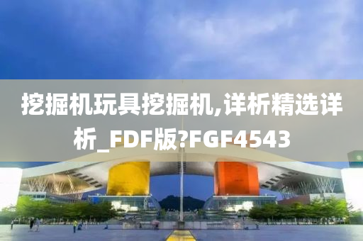 挖掘机玩具挖掘机,详析精选详析_FDF版?FGF4543